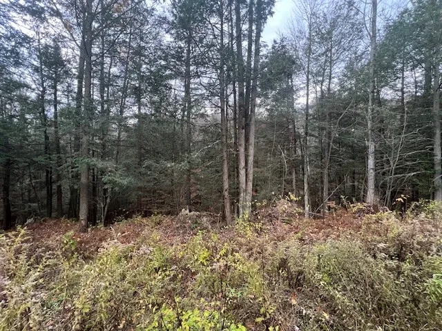 1475 Stewart Road, Tuscarora, New York 14801, Tuscarora, New York 14801, ,Land,For Sale,1475 Stewart Road, Tuscarora, New York 14801,0,R1649711