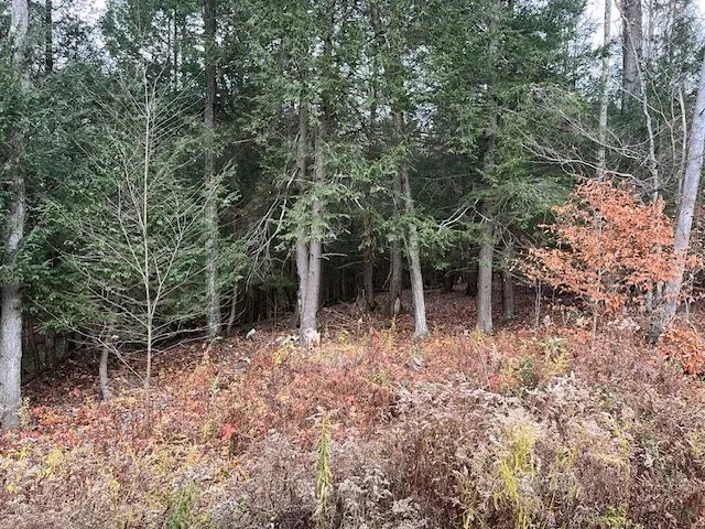 1475 Stewart Road, Tuscarora, New York 14801, Tuscarora, New York 14801, ,Land,For Sale,1475 Stewart Road, Tuscarora, New York 14801,0,R1649711
