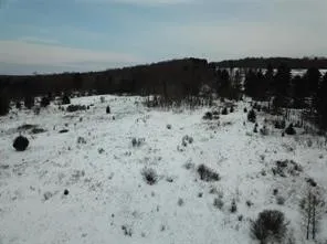 0 Daniels Road, Plymouth, New York 13844, Plymouth, New York 13844, ,Land,For Sale,0 Daniels Road, Plymouth, New York 13844,0,R1649745