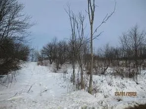 0 Daniels Road, Plymouth, New York 13844, Plymouth, New York 13844, ,Land,For Sale,0 Daniels Road, Plymouth, New York 13844,0,R1649745