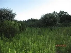 0 Daniels Road, Plymouth, New York 13844, Plymouth, New York 13844, ,Land,For Sale,0 Daniels Road, Plymouth, New York 13844,0,R1649745