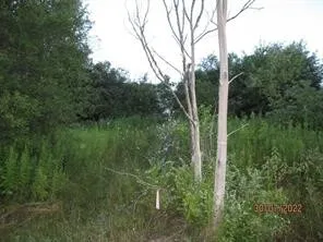 0 Daniels Road, Plymouth, New York 13844, Plymouth, New York 13844, ,Land,For Sale,0 Daniels Road, Plymouth, New York 13844,0,R1649745