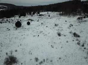 0 Daniels Road, Plymouth, New York 13844, Plymouth, New York 13844, ,Land,For Sale,0 Daniels Road, Plymouth, New York 13844,0,R1649745