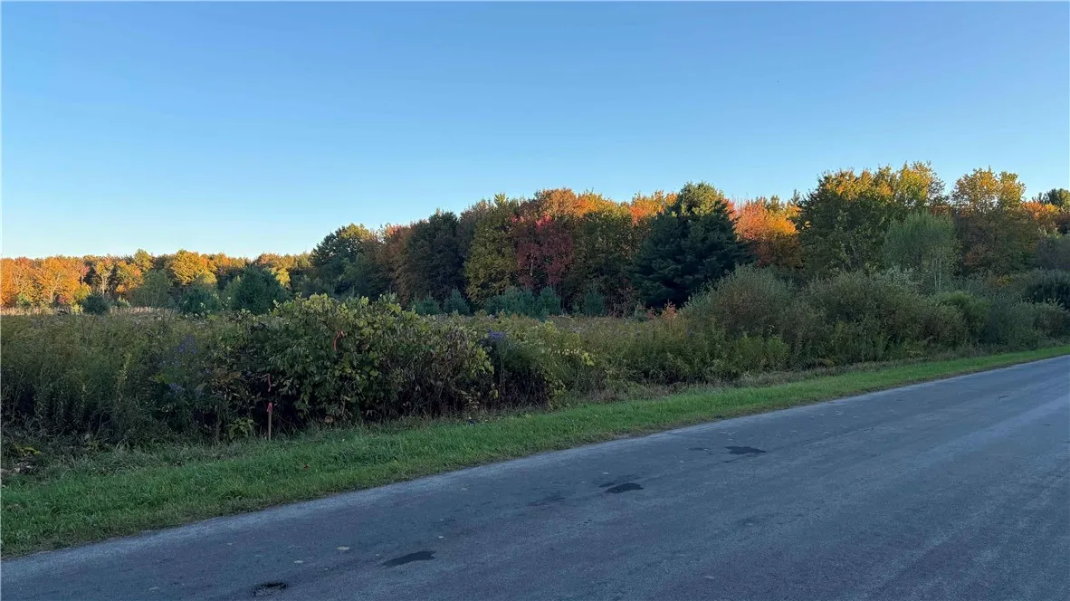 287 White Road, Parish, New York 13131, Parish, New York 13131, ,Land,For Sale,287 White Road, Parish, New York 13131,0,R1649747