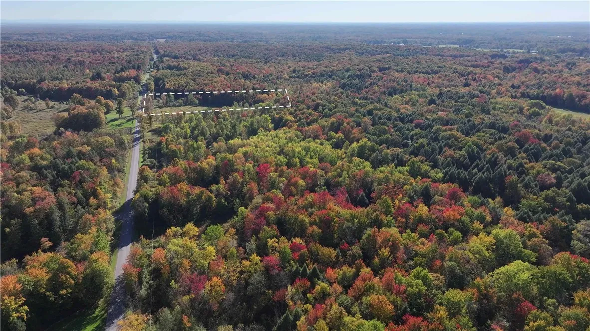 287 White Road, Parish, New York 13131, Parish, New York 13131, ,Land,For Sale,287 White Road, Parish, New York 13131,0,R1649747