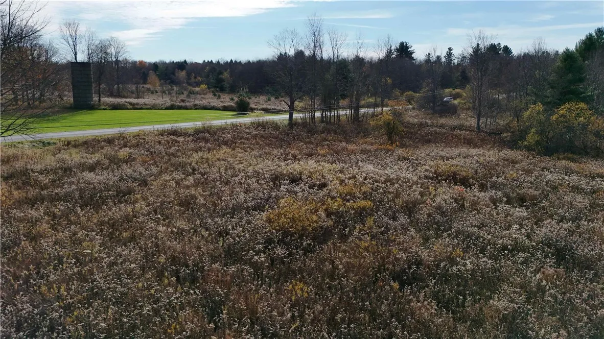 287 White Road, Parish, New York 13131, Parish, New York 13131, ,Land,For Sale,287 White Road, Parish, New York 13131,0,R1649747