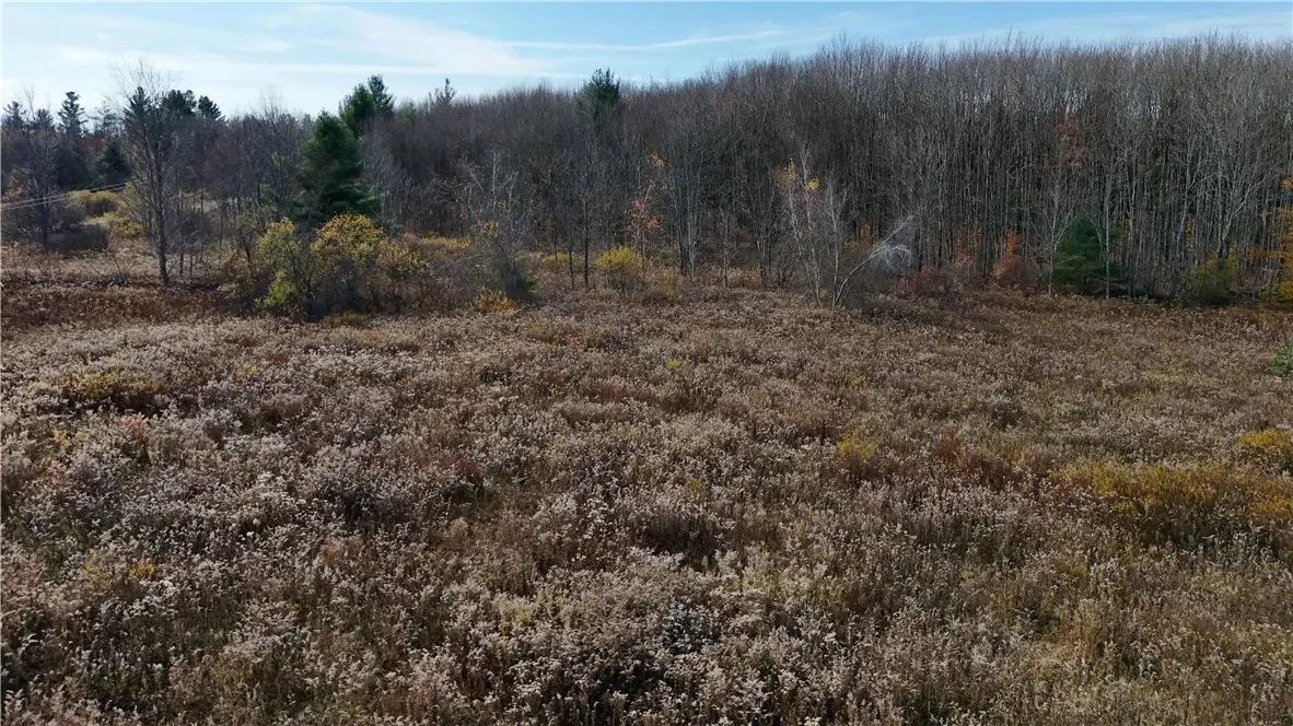 287 White Road, Parish, New York 13131, Parish, New York 13131, ,Land,For Sale,287 White Road, Parish, New York 13131,0,R1649747