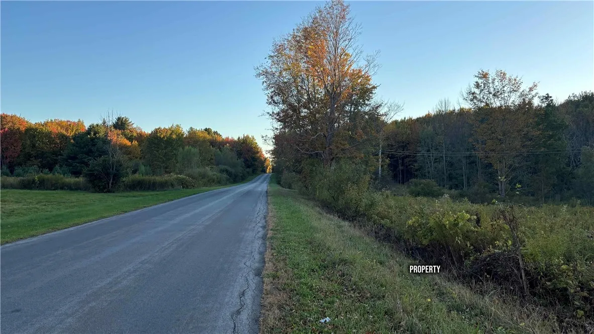 287 White Road, Parish, New York 13131, Parish, New York 13131, ,Land,For Sale,287 White Road, Parish, New York 13131,0,R1649747