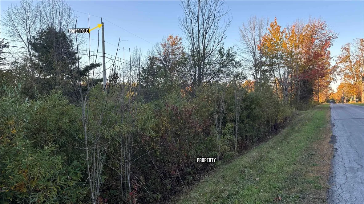 287 White Road, Parish, New York 13131, Parish, New York 13131, ,Land,For Sale,287 White Road, Parish, New York 13131,0,R1649747