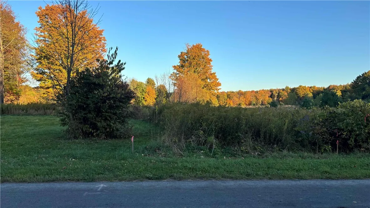 287 White Road, Parish, New York 13131, Parish, New York 13131, ,Land,For Sale,287 White Road, Parish, New York 13131,0,R1649747