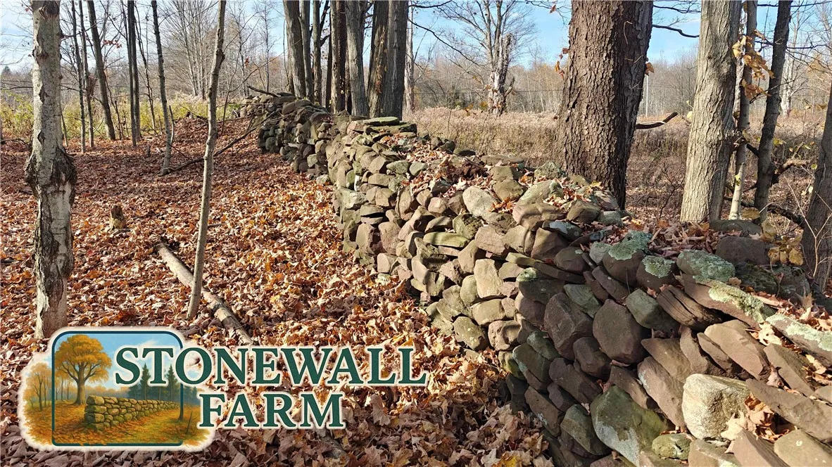 287 White Road, Parish, New York 13131, Parish, New York 13131, ,Land,For Sale,287 White Road, Parish, New York 13131,0,R1649747