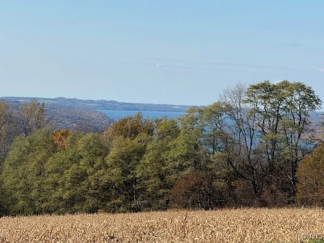 7477 State Route 41, Scott, New York 13077, Scott, New York 13077, 4 Bedrooms Bedrooms, 9 Rooms Rooms,2 BathroomsBathrooms,Residential,For Sale,7477 State Route 41, Scott, New York 13077,0,S1649609