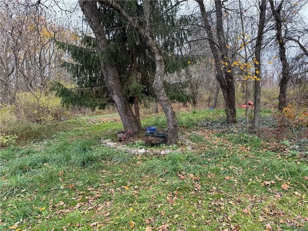 1112 Elm Street Extension, Groton, New York 13073, Groton, New York 13073, ,Land,For Sale,1112 Elm Street Extension, Groton, New York 13073,0,S1649526