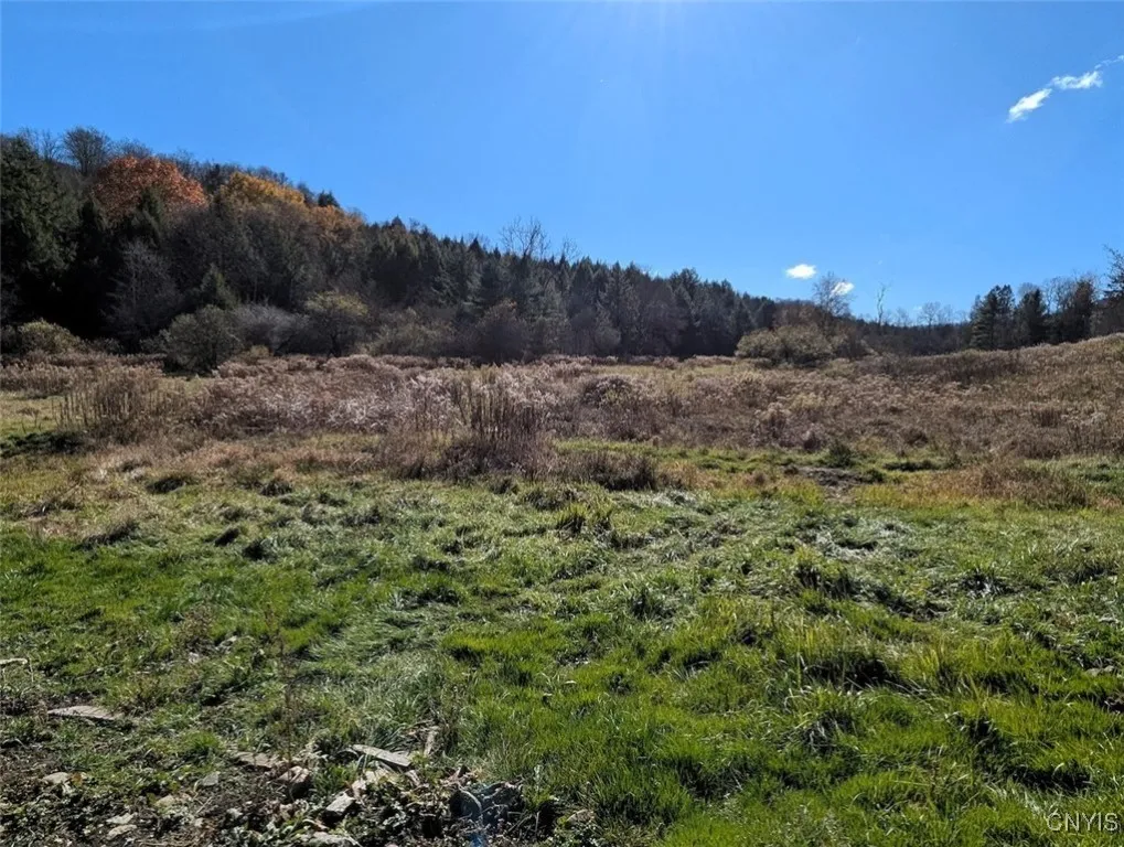 3829 Fords Brook South, Willing, New York 14895, Willing, New York 14895, 4 Bedrooms Bedrooms, 9 Rooms Rooms,Residential,For Sale,3829 Fords Brook South, Willing, New York 14895,0,S1649769