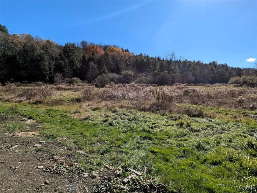 3829 Fords Brook South, Willing, New York 14895, Willing, New York 14895, 4 Bedrooms Bedrooms, 9 Rooms Rooms,Residential,For Sale,3829 Fords Brook South, Willing, New York 14895,0,S1649769