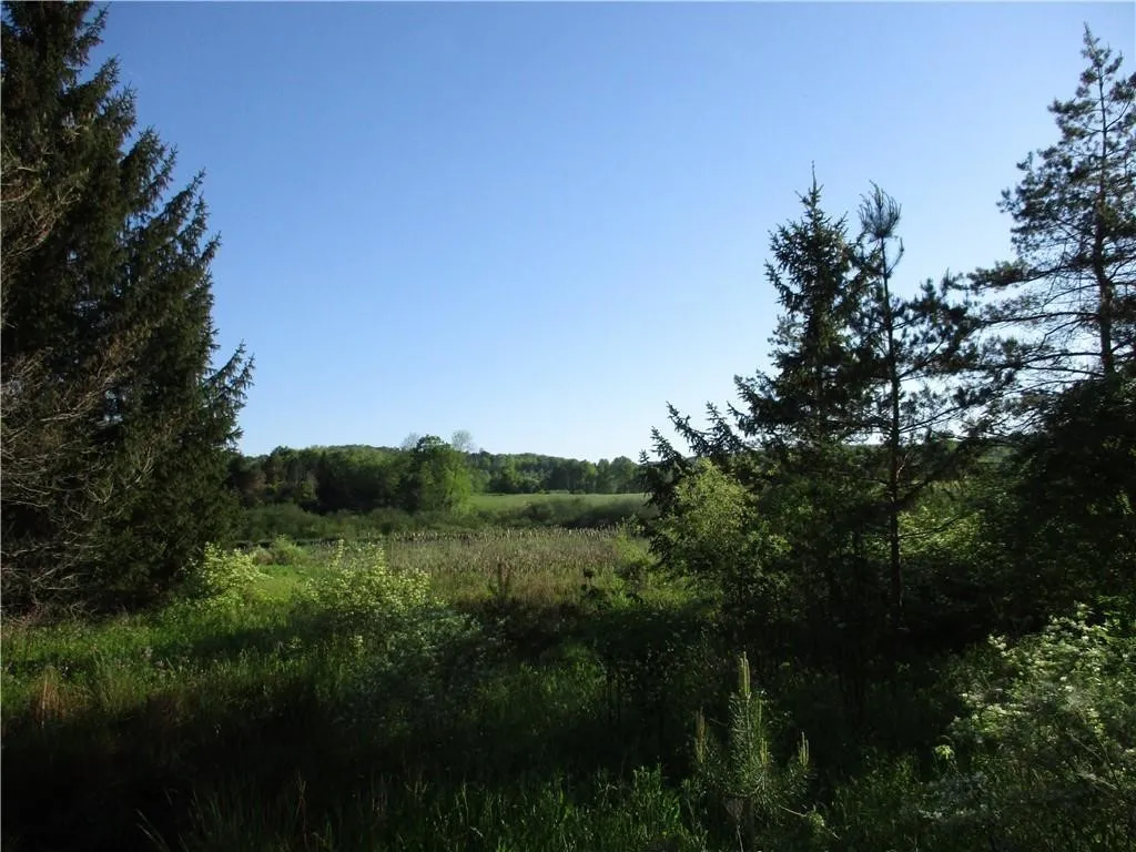 Lot 1 State Route 80, Smyrna, New York 13464, Smyrna, New York 13464, ,Land,For Sale,Lot 1 State Route 80, Smyrna, New York 13464,0,R1649764
