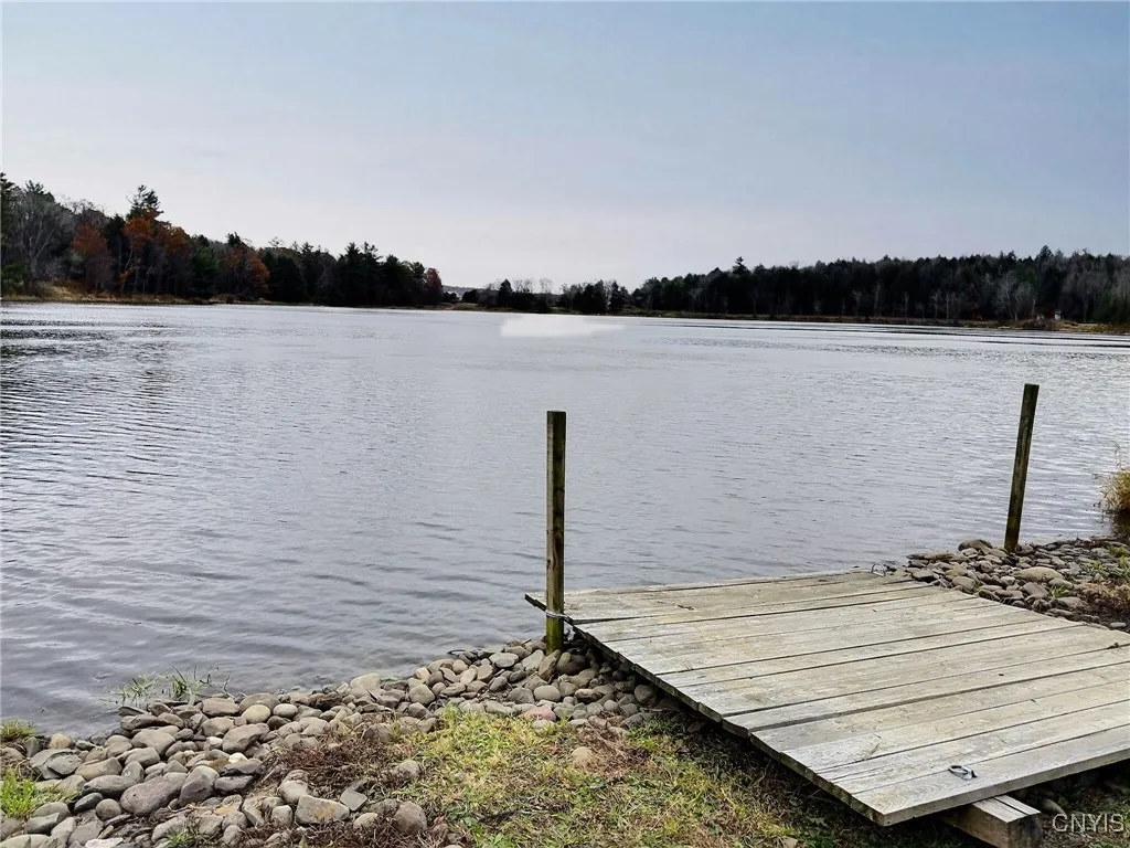 4050 State Route 221, Marathon, New York 13803, Marathon, New York 13803, 1 Bedroom Bedrooms, 3 Rooms Rooms,1 BathroomBathrooms,Land,For Sale,4050 State Route 221, Marathon, New York 13803,0,S1649770