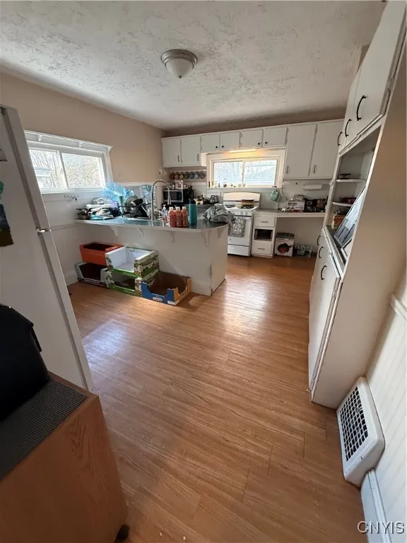 147 East Matson Avenue, Syracuse, New York 13205, Syracuse, New York 13205, 4 Bedrooms Bedrooms, 11 Rooms Rooms,2 BathroomsBathrooms,Residential,For Sale,147 East Matson Avenue, Syracuse, New York 13205,0,S1649737