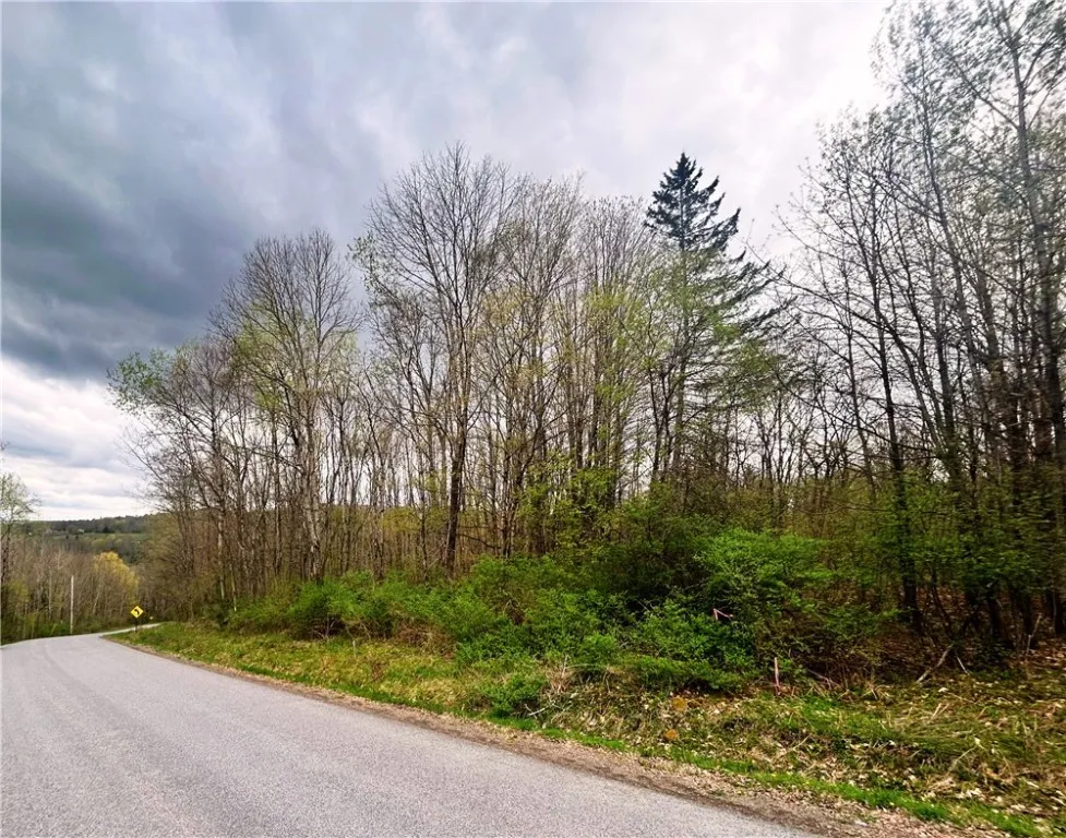 0 Sisson Hill Rd, Unadilla, New York 13849, Unadilla, New York 13849, ,Land,For Sale,0 Sisson Hill Rd, Unadilla, New York 13849,0,R1649792