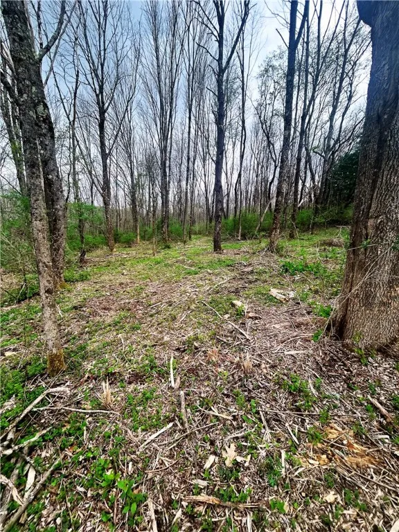 0 Sisson Hill Rd, Unadilla, New York 13849, Unadilla, New York 13849, ,Land,For Sale,0 Sisson Hill Rd, Unadilla, New York 13849,0,R1649792