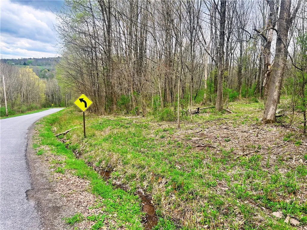 0 Sisson Hill Rd, Unadilla, New York 13849, Unadilla, New York 13849, ,Land,For Sale,0 Sisson Hill Rd, Unadilla, New York 13849,0,R1649792