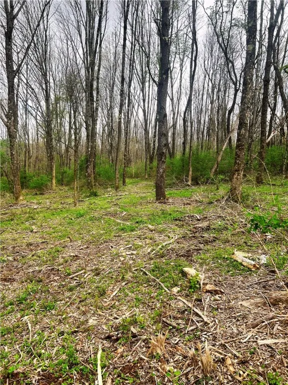 0 Sisson Hill Rd, Unadilla, New York 13849, Unadilla, New York 13849, ,Land,For Sale,0 Sisson Hill Rd, Unadilla, New York 13849,0,R1649792