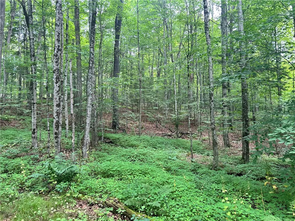 0 County Highway 3a, Unadilla, New York 13849, Unadilla, New York 13849, ,Land,For Sale,0 County Highway 3a, Unadilla, New York 13849,0,R1649802