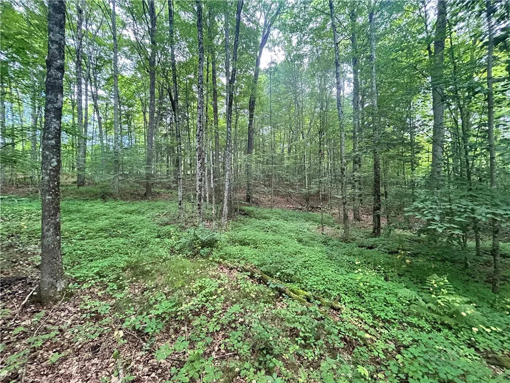 0 County Highway 3a, Unadilla, New York 13849, Unadilla, New York 13849, ,Land,For Sale,0 County Highway 3a, Unadilla, New York 13849,0,R1649802