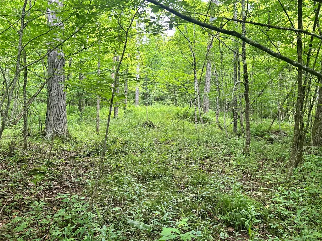 0 County Highway 3a, Unadilla, New York 13849, Unadilla, New York 13849, ,Land,For Sale,0 County Highway 3a, Unadilla, New York 13849,0,R1649802