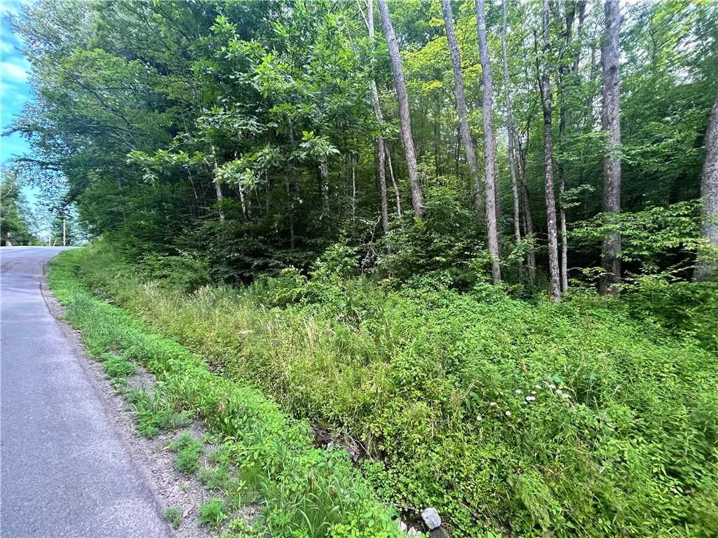 0 County Highway 3a, Unadilla, New York 13849, Unadilla, New York 13849, ,Land,For Sale,0 County Highway 3a, Unadilla, New York 13849,0,R1649802