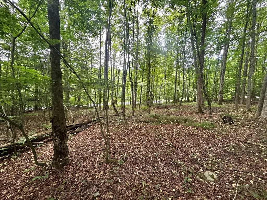 0 County Highway 3a, Unadilla, New York 13849, Unadilla, New York 13849, ,Land,For Sale,0 County Highway 3a, Unadilla, New York 13849,0,R1649802