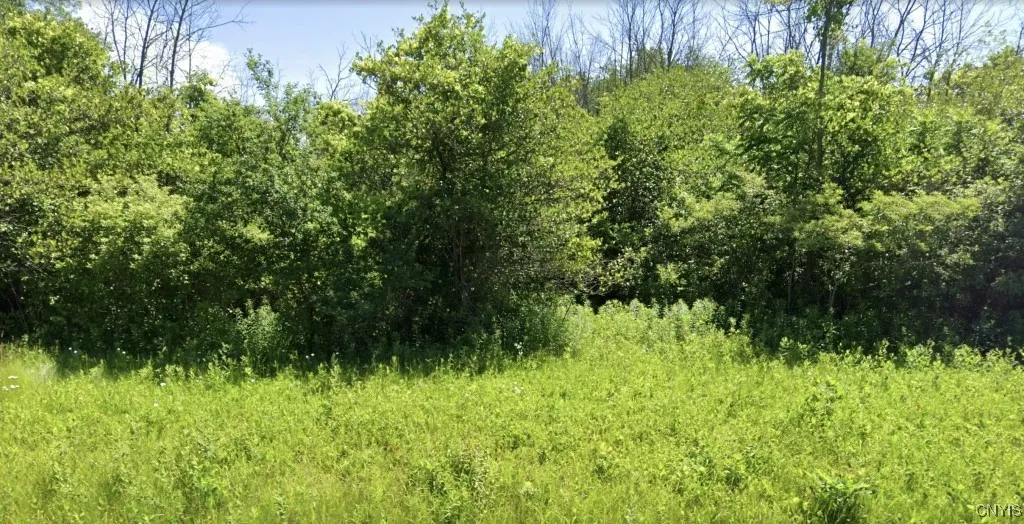 120 Percy Road, Riga, New York 14428, Riga, New York 14428, ,Land,For Sale,120 Percy Road, Riga, New York 14428,0,S1649818