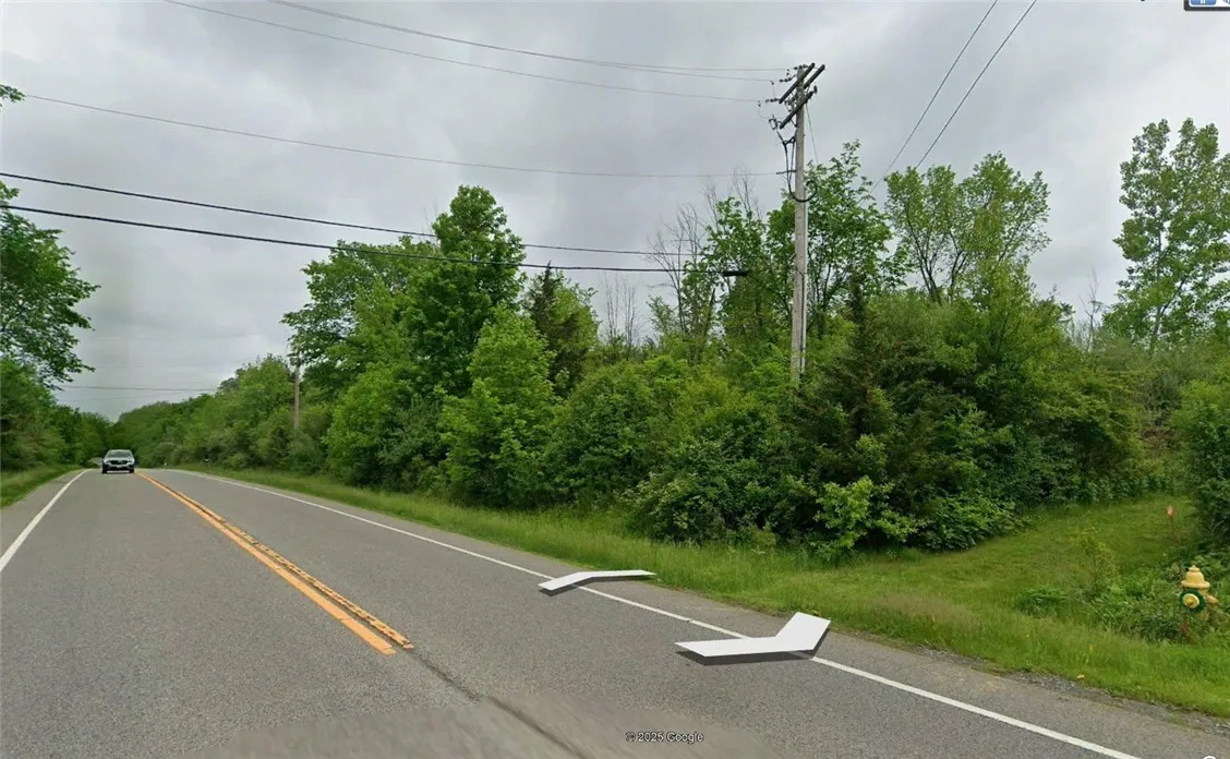 271a All Angels Hill Road, Wappinger, New York 125, Wappinger, New York 12590, ,Land,For Sale,271a All Angels Hill Road, Wappinger, New York 125,0,R1649835