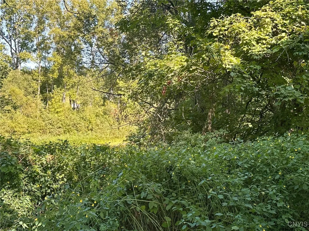 7421 Rt-291, Marcy, New York 13403, Marcy, New York 13403, 3 Bedrooms Bedrooms, 6 Rooms Rooms,2 BathroomsBathrooms,Residential,For Sale,7421 Rt-291, Marcy, New York 13403,0,S1649840