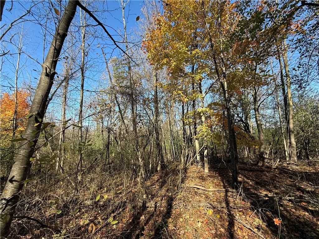 Willowdale Drive, Macedon, New York 14502, Macedon, New York 14502, ,Land,For Sale,Willowdale Drive, Macedon, New York 14502,0,R1649271