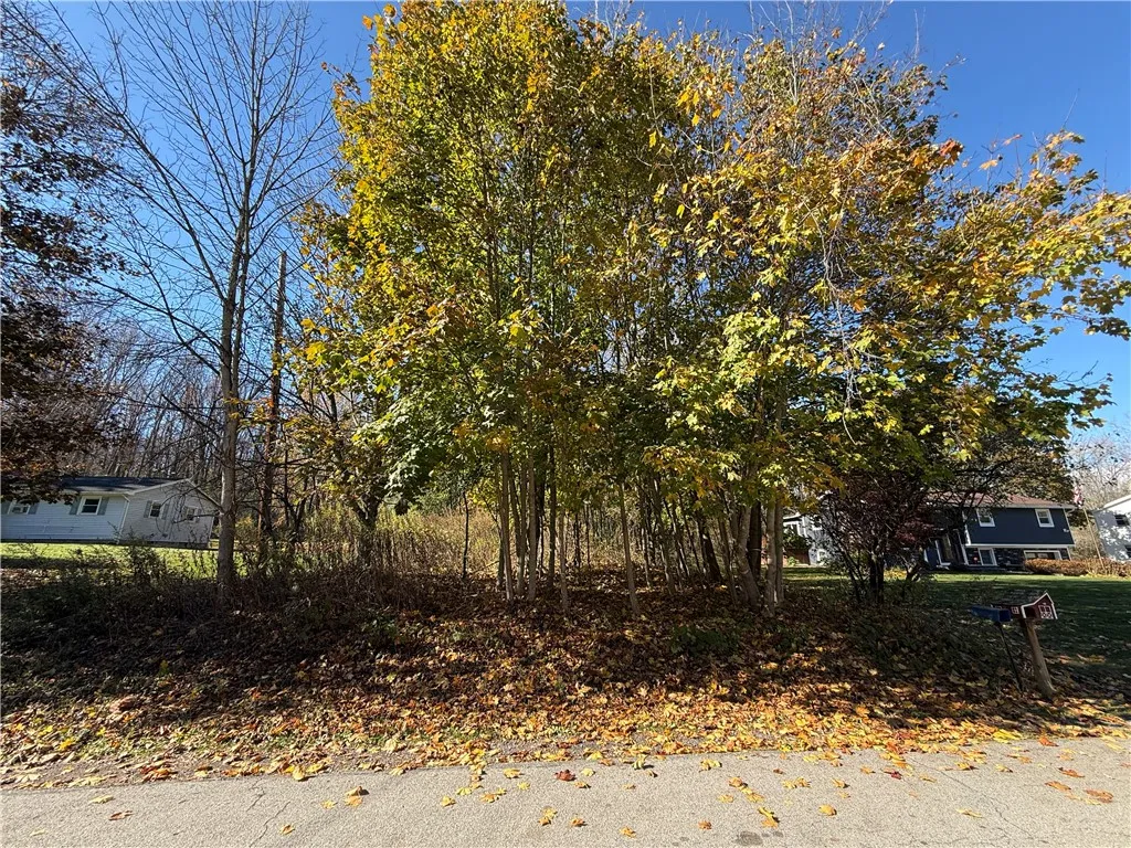 Willowdale Drive, Macedon, New York 14502, Macedon, New York 14502, ,Land,For Sale,Willowdale Drive, Macedon, New York 14502,0,R1649271