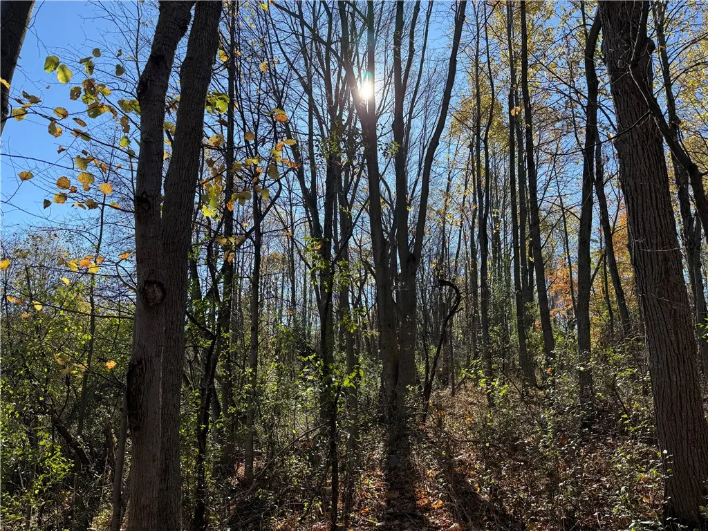 Willowdale Drive, Macedon, New York 14502, Macedon, New York 14502, ,Land,For Sale,Willowdale Drive, Macedon, New York 14502,0,R1649271