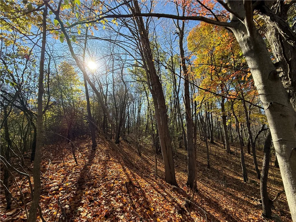 Willowdale Drive, Macedon, New York 14502, Macedon, New York 14502, ,Land,For Sale,Willowdale Drive, Macedon, New York 14502,0,R1649271