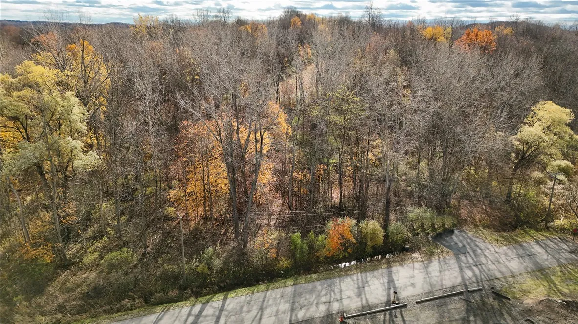 Willowdale Drive, Macedon, New York 14502, Macedon, New York 14502, ,Land,For Sale,Willowdale Drive, Macedon, New York 14502,0,R1649271