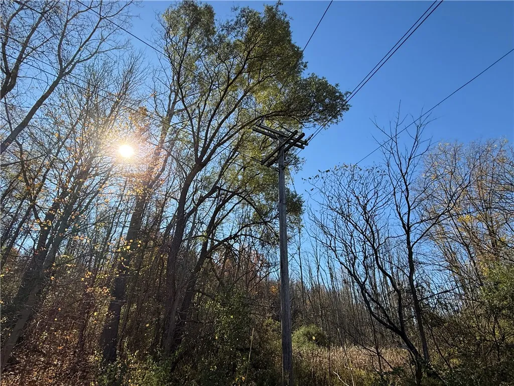 Willowdale Drive, Macedon, New York 14502, Macedon, New York 14502, ,Land,For Sale,Willowdale Drive, Macedon, New York 14502,0,R1649271