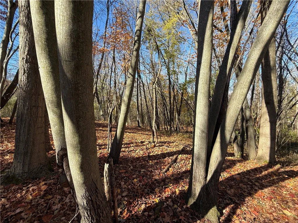 Willowdale Drive, Macedon, New York 14502, Macedon, New York 14502, ,Land,For Sale,Willowdale Drive, Macedon, New York 14502,0,R1649271