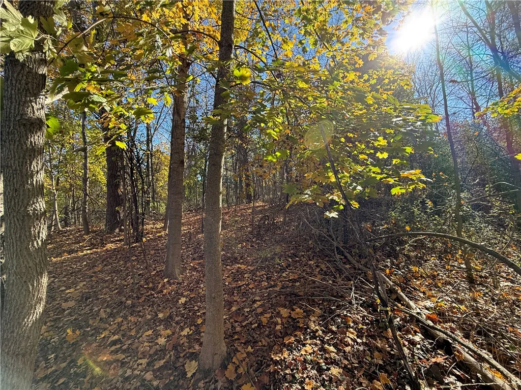 Willowdale Drive, Macedon, New York 14502, Macedon, New York 14502, ,Land,For Sale,Willowdale Drive, Macedon, New York 14502,0,R1649271