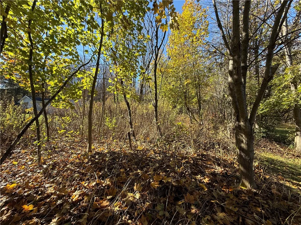 Willowdale Drive, Macedon, New York 14502, Macedon, New York 14502, ,Land,For Sale,Willowdale Drive, Macedon, New York 14502,0,R1649271