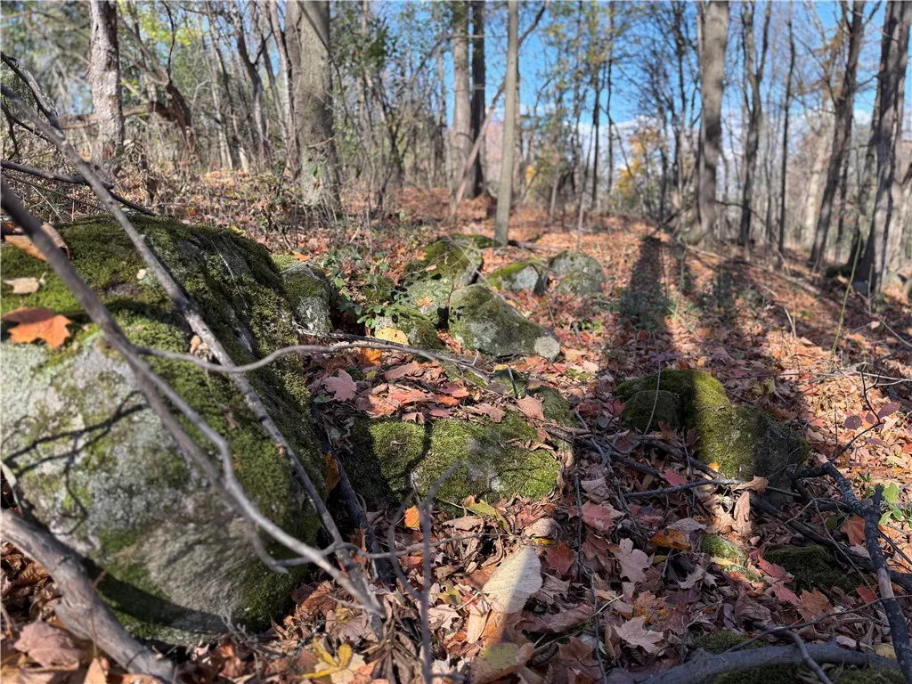 Willowdale Drive, Macedon, New York 14502, Macedon, New York 14502, ,Land,For Sale,Willowdale Drive, Macedon, New York 14502,0,R1649271