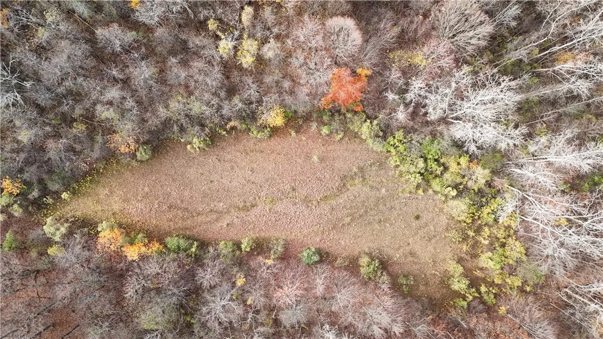 Willowdale Drive, Macedon, New York 14502, Macedon, New York 14502, ,Land,For Sale,Willowdale Drive, Macedon, New York 14502,0,R1649271