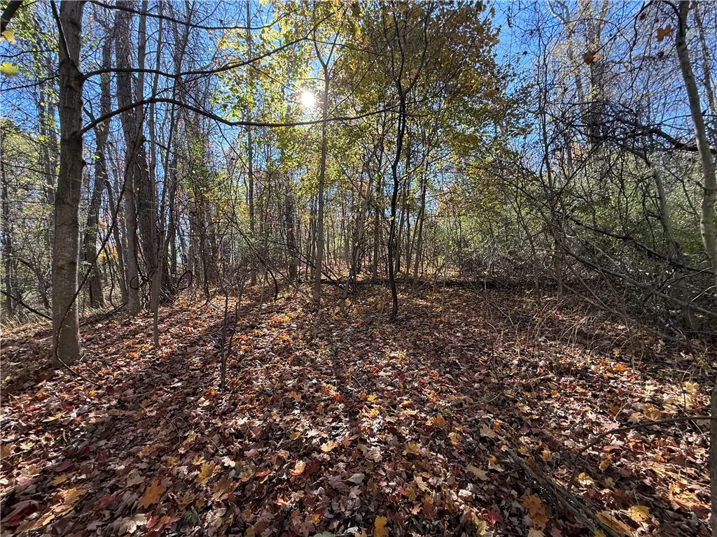 Willowdale Drive, Macedon, New York 14502, Macedon, New York 14502, ,Land,For Sale,Willowdale Drive, Macedon, New York 14502,0,R1649271