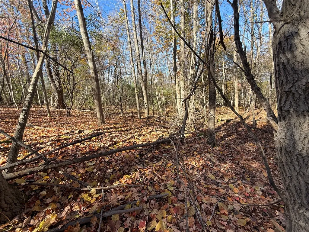 Willowdale Drive, Macedon, New York 14502, Macedon, New York 14502, ,Land,For Sale,Willowdale Drive, Macedon, New York 14502,0,R1649271