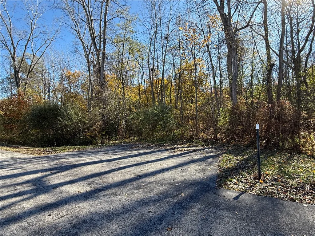 Willowdale Drive, Macedon, New York 14502, Macedon, New York 14502, ,Land,For Sale,Willowdale Drive, Macedon, New York 14502,0,R1649271