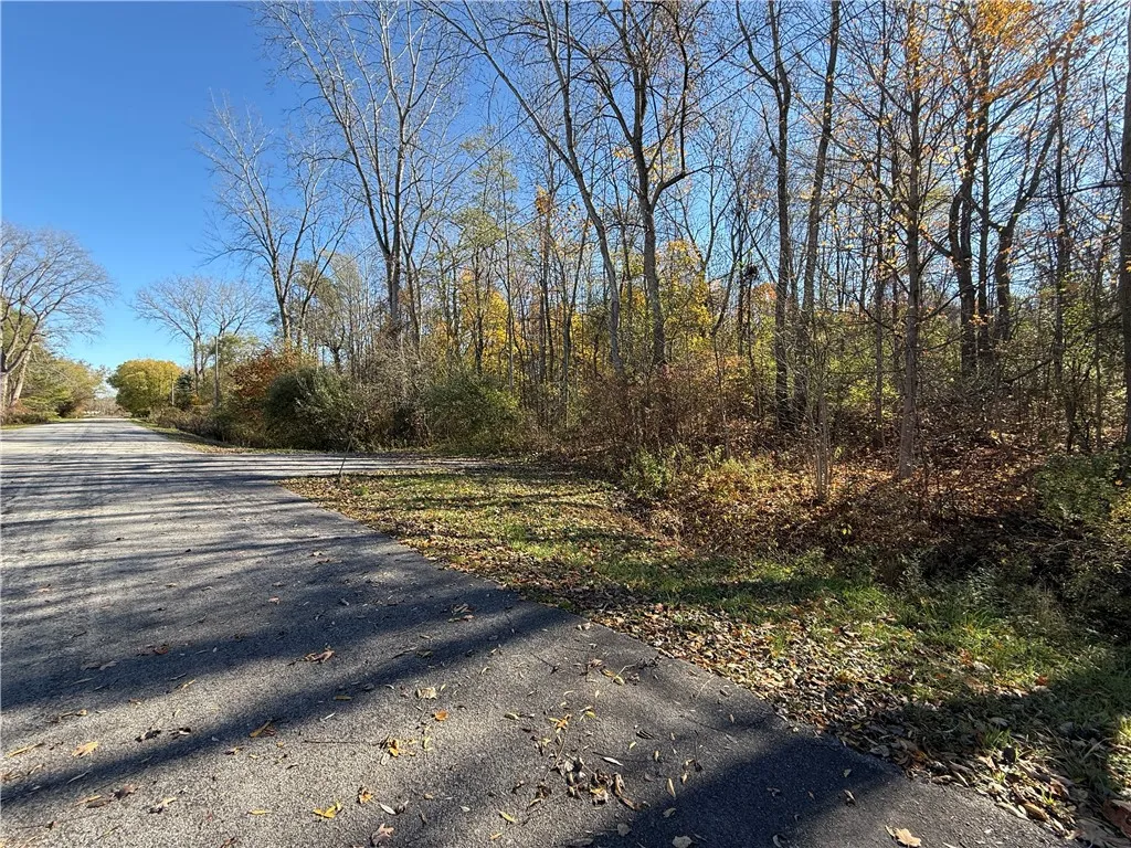 Willowdale Drive, Macedon, New York 14502, Macedon, New York 14502, ,Land,For Sale,Willowdale Drive, Macedon, New York 14502,0,R1649271