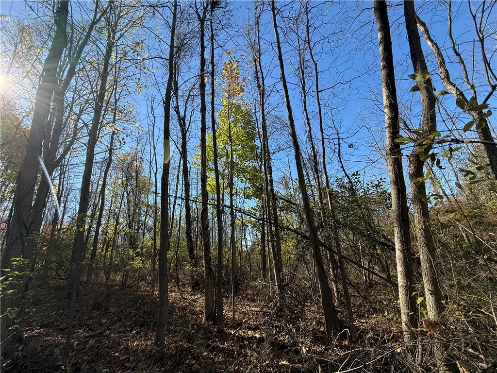 Willowdale Drive, Macedon, New York 14502, Macedon, New York 14502, ,Land,For Sale,Willowdale Drive, Macedon, New York 14502,0,R1649271